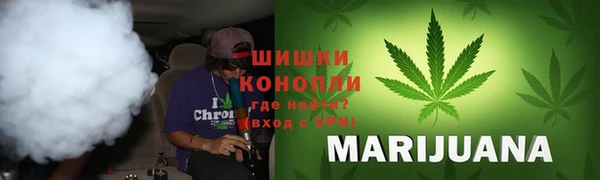 индика Рославль