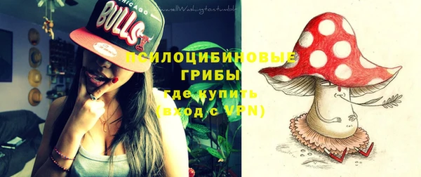 ПСИЛОЦИБИНОВЫЕ ГРИБЫ Алексеевка