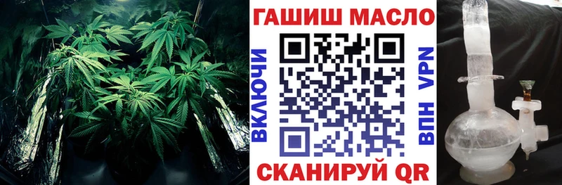 ТГК концентрат Дно