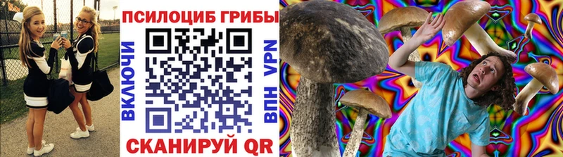 Галлюциногенные грибы мицелий  Дно 